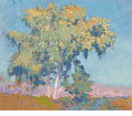 California Landscape<br><small>Alson Skinner Clark