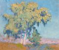 California Landscape<br><small>Alson Skinner Clark