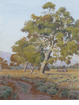 California Landscape<br><small>Norman St. Clair