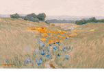 California Landscape with Poppies<br><small>Granville Redmond