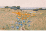 California Landscape with Poppies<br><small>Granville Redmond