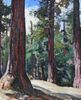 California Redwoods<br><small>Millard Sheets