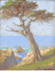 Carmel by the Sea<br><small>Henry Stuart Fonda