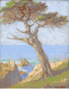 Carmel by the Sea<br><small>Henry Stuart Fonda