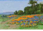 Poppy Fields<br><small>W.F. Jackson