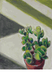 Succulent<br><small>Frederick Wight