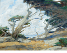 Cypress Grove<br><small>William Ritschel