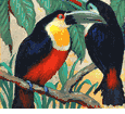Channel Billed Toucans <br><small> Jessie Arms Botke