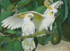Citron Cockatoos and Avocado<br><small>Jessie Arms Botke