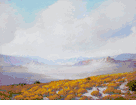 Cloud Shadows and Wildflowers, Mojave Desert, California<br><small>George Sherriff