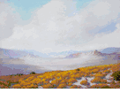 Cloud Shadows and Wildflowers, Mojave Desert, California<br><small>George Sherriff