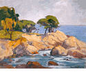 Coastal Scene<br><small>Dana Bartlett