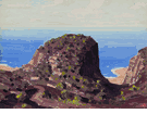 Coastal Scene <br><SMALL>(CB822)</SMALL></font>