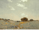 Coastal with Poppies and Lupines<br><small>Granville Redmond