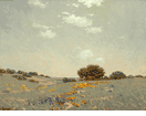 Coastal with Poppies and Lupines<br><small>Granville Redmond