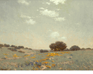 Coastal with Poppies and Lupines<br><small>Granville Redmond
