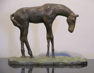 Click to enlarge