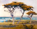 Cypress Point, Carmel<br><small>Percy Gray