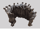 Dance of life<br><small>Lucy Agid</font>