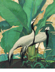 Demoiselle Cranes<br><small>Jessie Arms Botke