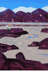 Desert, Arizona <br><SMALL>(CB125)</SMALL></font>