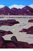 Desert, Arizona <br><SMALL>(CB125)</SMALL></font>