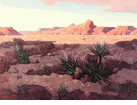 Desert Landscape with Yuccas <br><SMALL>(B001266)</SMALL></font>