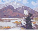 Desert Near Palm Springs<br><small>Mary DeNeale Morgan