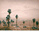 Desert Palms<br><small>Gunnar Widforss