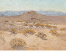Desert Scene<br><small>Edouard Vysekal