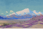 Desert Verbena<br><small>Harry B. Wagoner