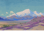 Desert Verbena<br><small>Harry B. Wagoner