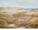 Coastal Scene - Sand Dunes by the Ocean <br><small>Detlef Sammann