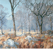 Early Springtime<br><small>Maurice Braun