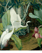 Egrets<br><small>Jessie Arms Botke