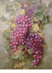 California Grapes<br><small>Elizabeth Borglum
