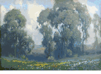 Eucalyptus and Wildflowers<br><small>Percy Gray