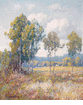 Eucalyptus Grove, California<br><small>Maurice Braun