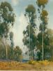 Eucalyptus Grove<br><small>Percy Gray