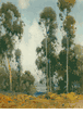 Eucalyptus Grove<br><small>Percy Gray