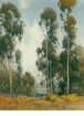 Eucalyptus Grove<br><small>Percy Gray