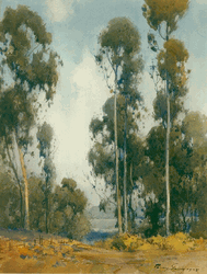 Click to enlarge