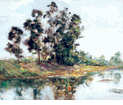 Eucalyptus Grove, Silverlake<br><small>Dedrick Brandes Stuber