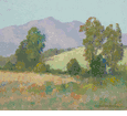 Eucalyptus in Spring <br><small>Maurice Braun
