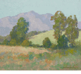 Eucalyptus in Spring <br><small>Maurice Braun