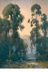 Eucalyptus Trees<br><small>Percy Gray