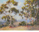Eucalyptus Trees<br><small>Frank M. Moore
