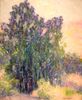 Eucalyptus Trees<br><small>William Clapp