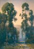 Eucalyptus Trees<br><small>Percy Gray