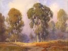 Eucalyptus Trees and Clouds<br><small>Percy Gray